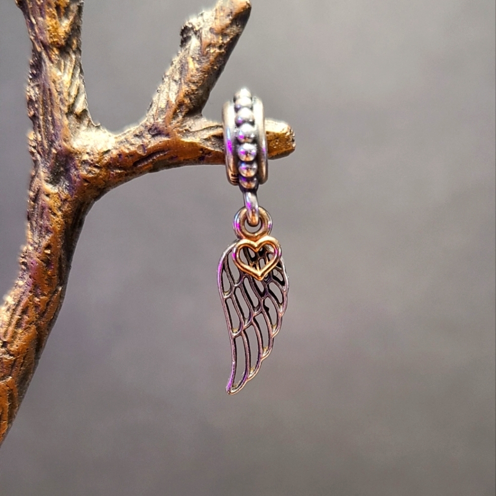 Pandora charm